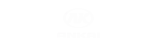 Logo ankai